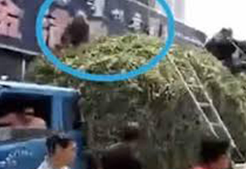 Грузовик с горохом спас людей от пожара, выступив в роли батута