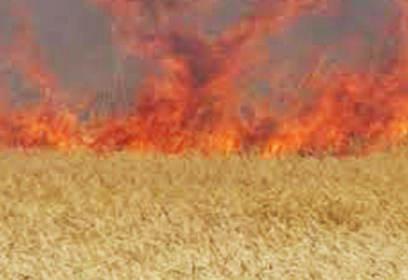 İşğal altındakı yanğınların yaşayış məntəqələrimizə təhlükəsi varmı?