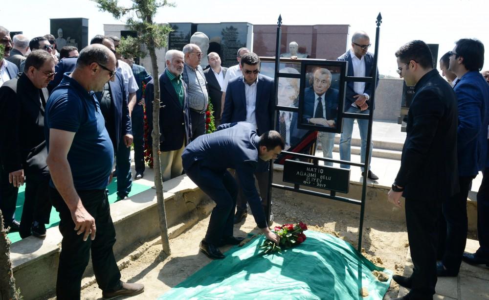 Министр энергетики Азербайджана Натиг Алиев похоронен в Аллее почетного захоронения