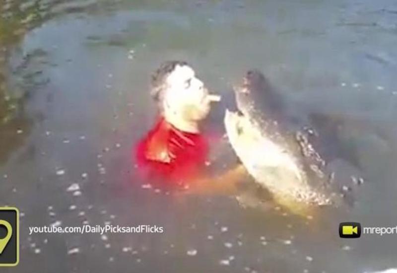 Американец нырнул в пруд к аллигатору, чтобы поиграть