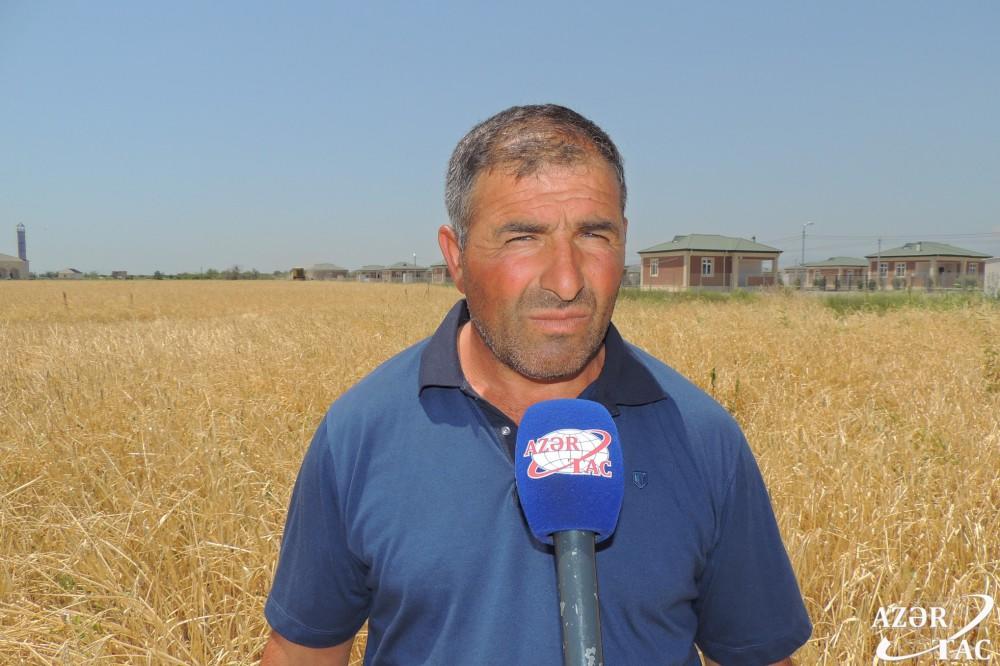 Ласточки вьют гнезда в освобожденном селе Джоджуг Мерджанлы