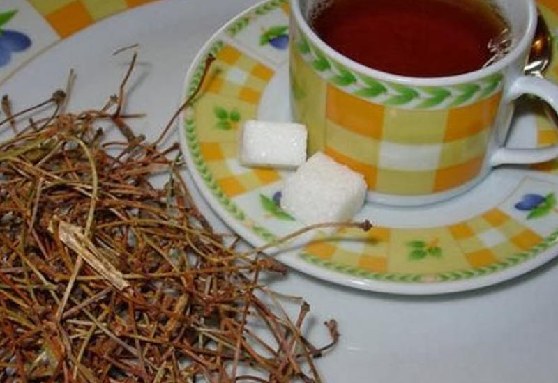 Min dərdin dərmanı gilas saplağı çayı