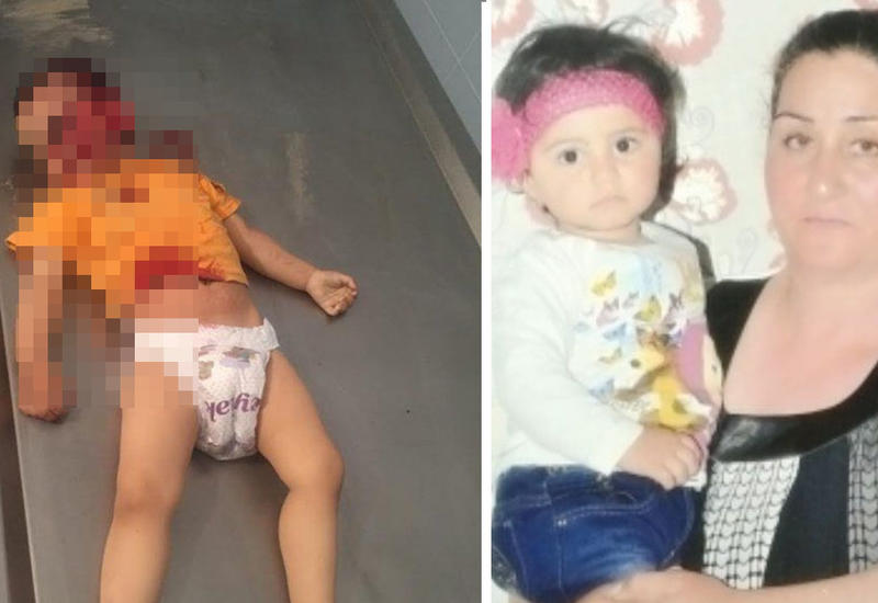 Звериное лицо армянских оккупантов