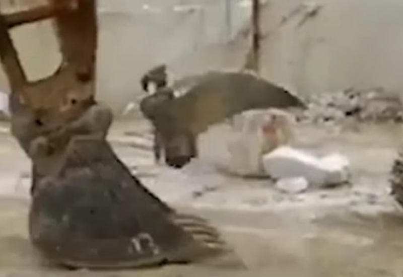 Кадры необычных трюков на тяжелой рабочей машине взрывают Сети