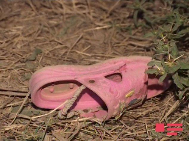 Звериное лицо армянских оккупантов