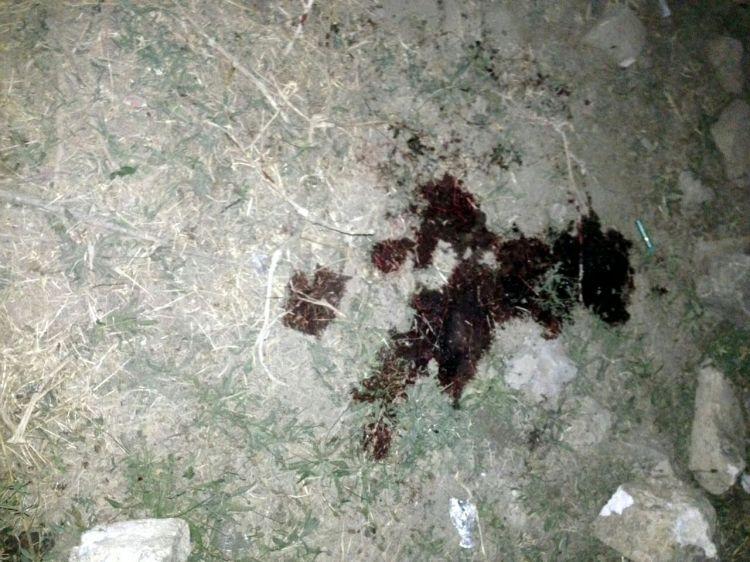 Звериное лицо армянских оккупантов