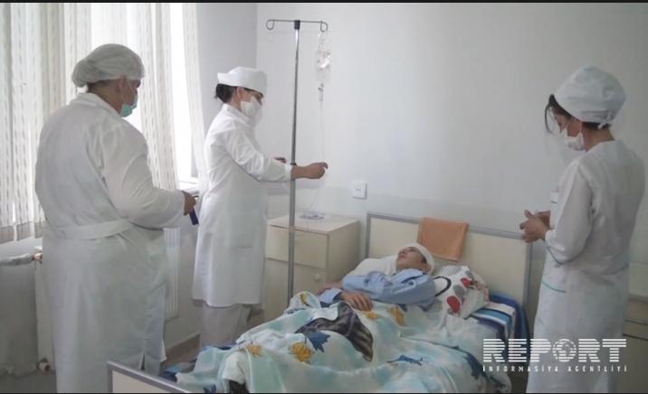 В Загатале волки напали на 16-летнего парня и пограничника