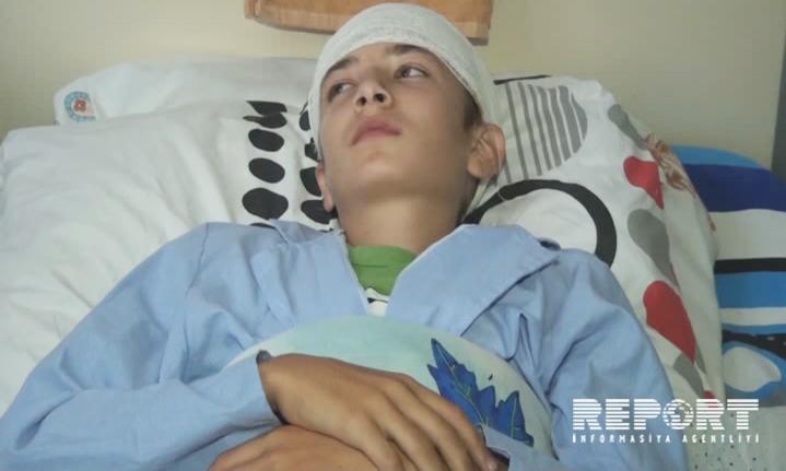 В Загатале волки напали на 16-летнего парня и пограничника