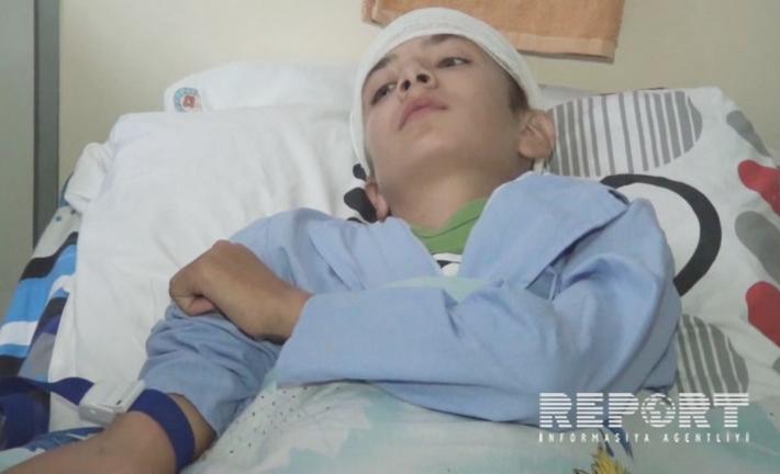 В Загатале волки напали на 16-летнего парня и пограничника