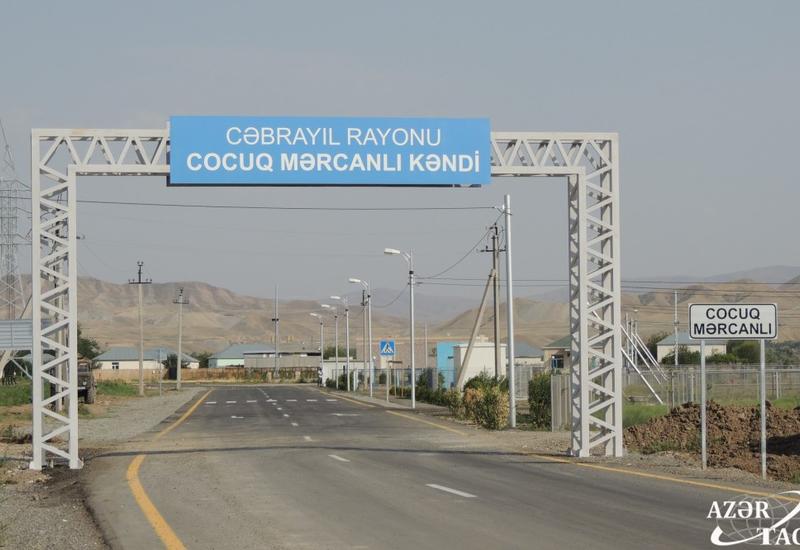 Спустя 24 года в Джоджуг Мерджанлы вновь зацвело гранатовое дерево