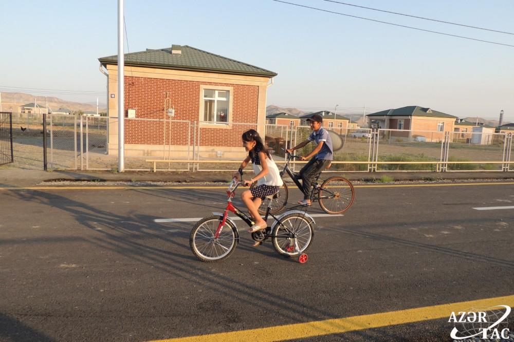 Спустя 24 года в Джоджуг Мерджанлы вновь зацвело гранатовое дерево