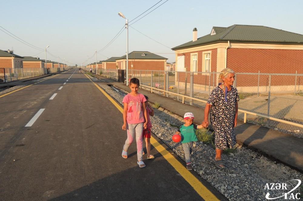 Спустя 24 года в Джоджуг Мерджанлы вновь зацвело гранатовое дерево