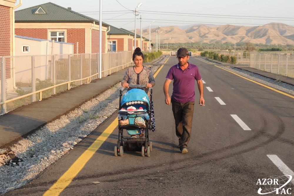 Спустя 24 года в Джоджуг Мерджанлы вновь зацвело гранатовое дерево