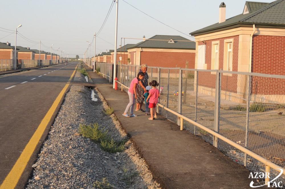 Спустя 24 года в Джоджуг Мерджанлы вновь зацвело гранатовое дерево