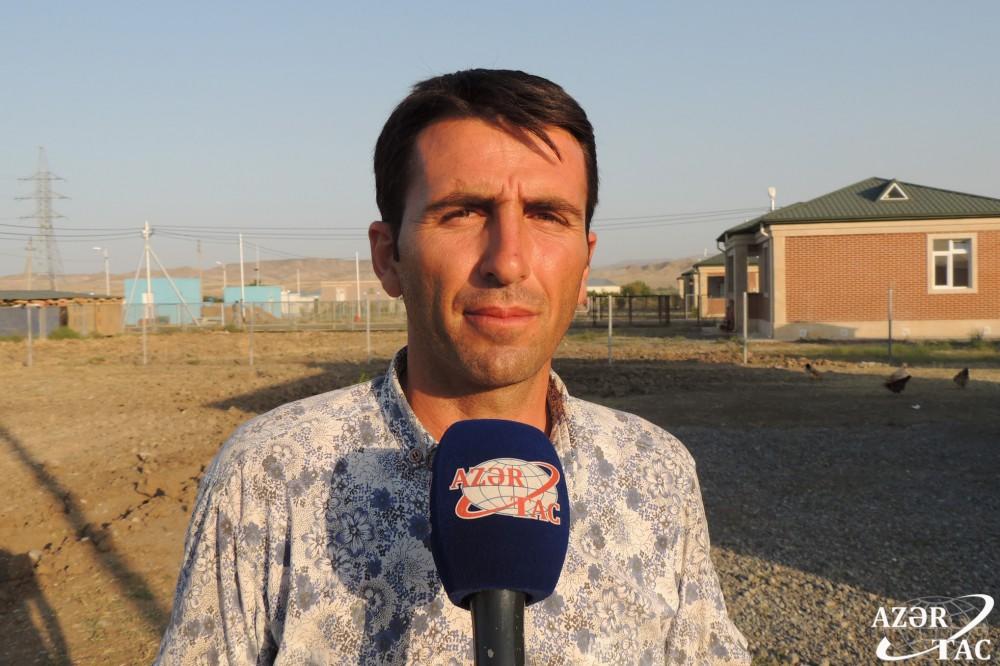 Спустя 24 года в Джоджуг Мерджанлы вновь зацвело гранатовое дерево