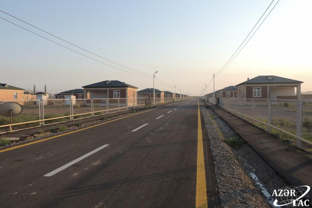 Спустя 24 года в Джоджуг Мерджанлы вновь зацвело гранатовое дерево