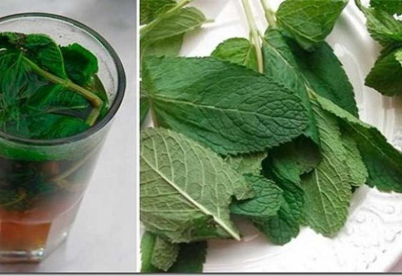 Bir stəkan nanə çayı görün nələrə qadirdi?