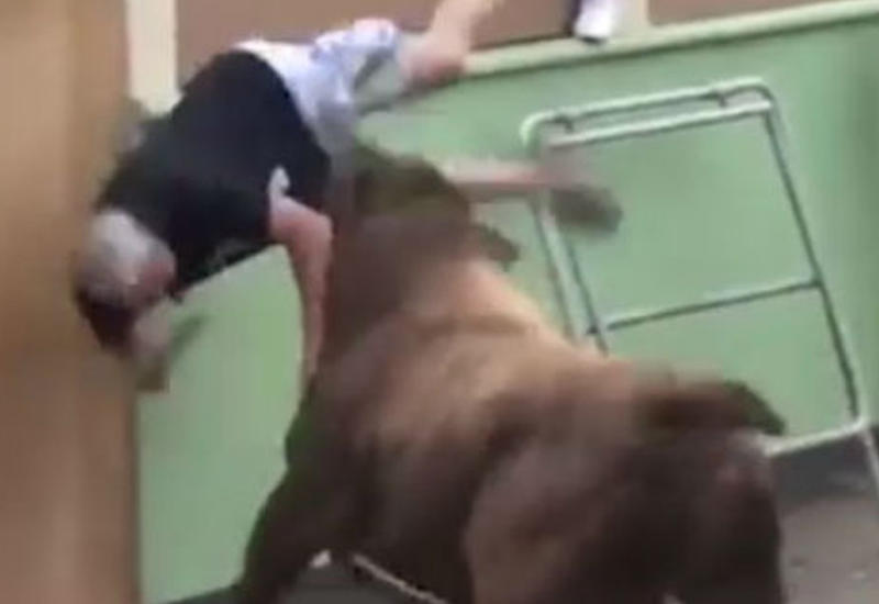 Разъяренный бык убил человека