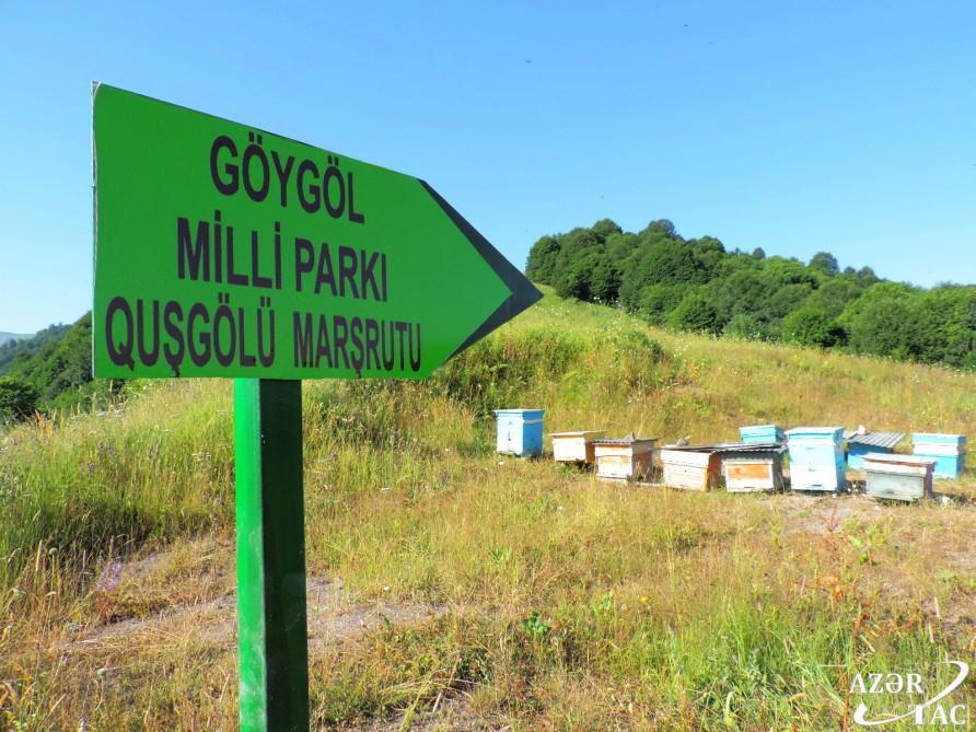 Azərbaycan təbiətinin inciləri: Kəpəz dağı, Göygöl və Maralgöl...