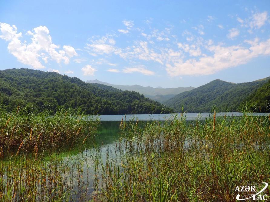 Azərbaycan təbiətinin inciləri: Kəpəz dağı, Göygöl və Maralgöl...