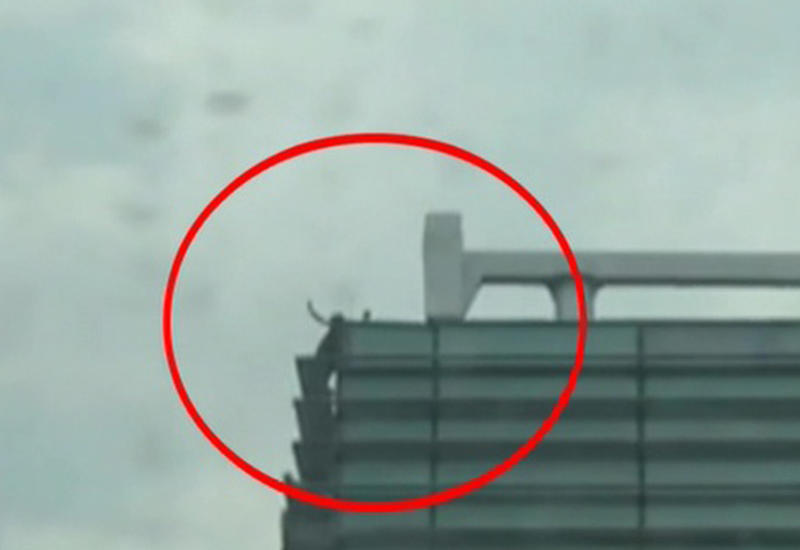 Экстремал без страховки залез на крышу небоскреба в Мехико