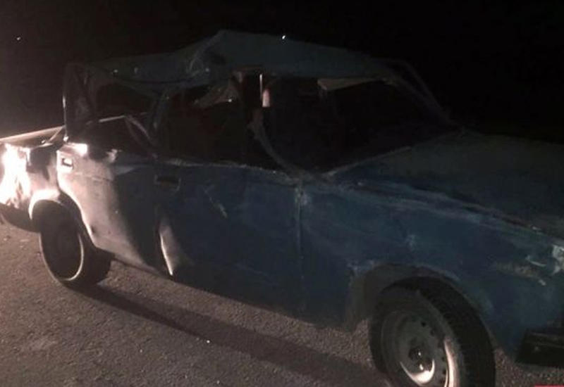 В Исмаиллы автомобиль сбил буйвола