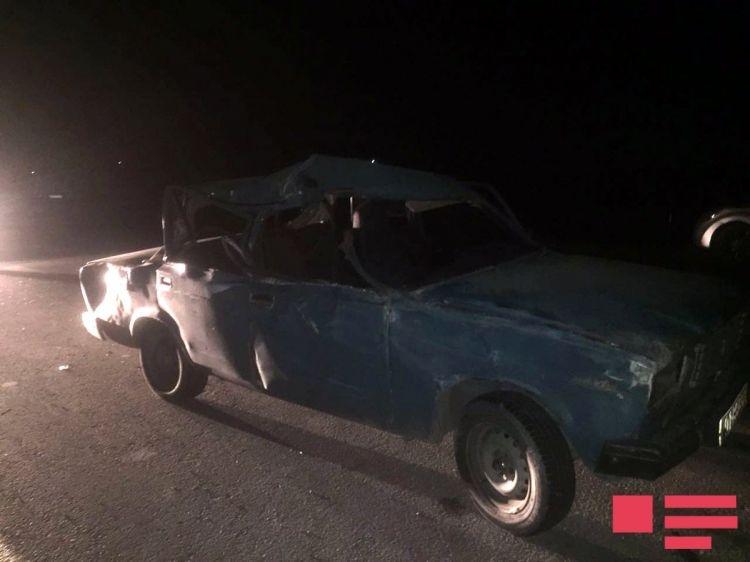 В Исмаиллы автомобиль сбил буйвола