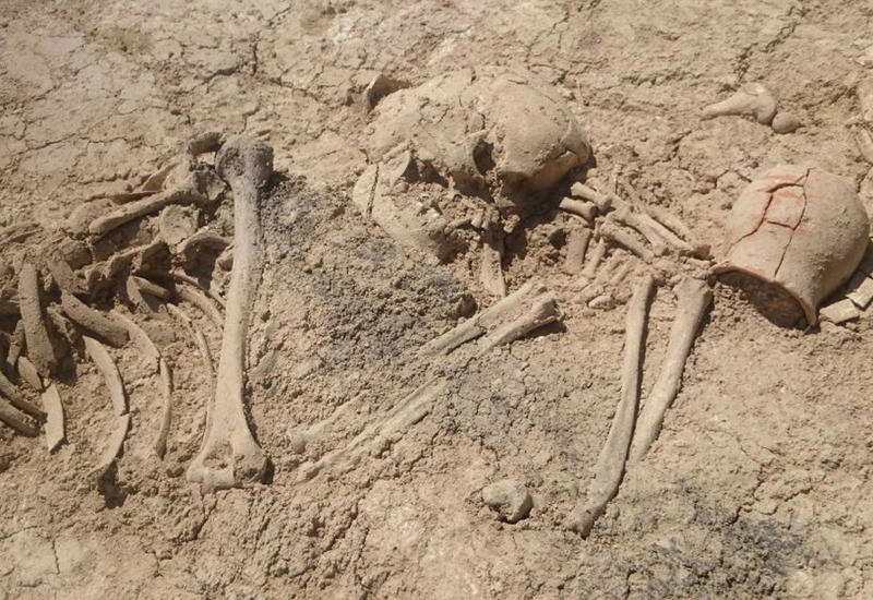 Уникальная находка в Лерике