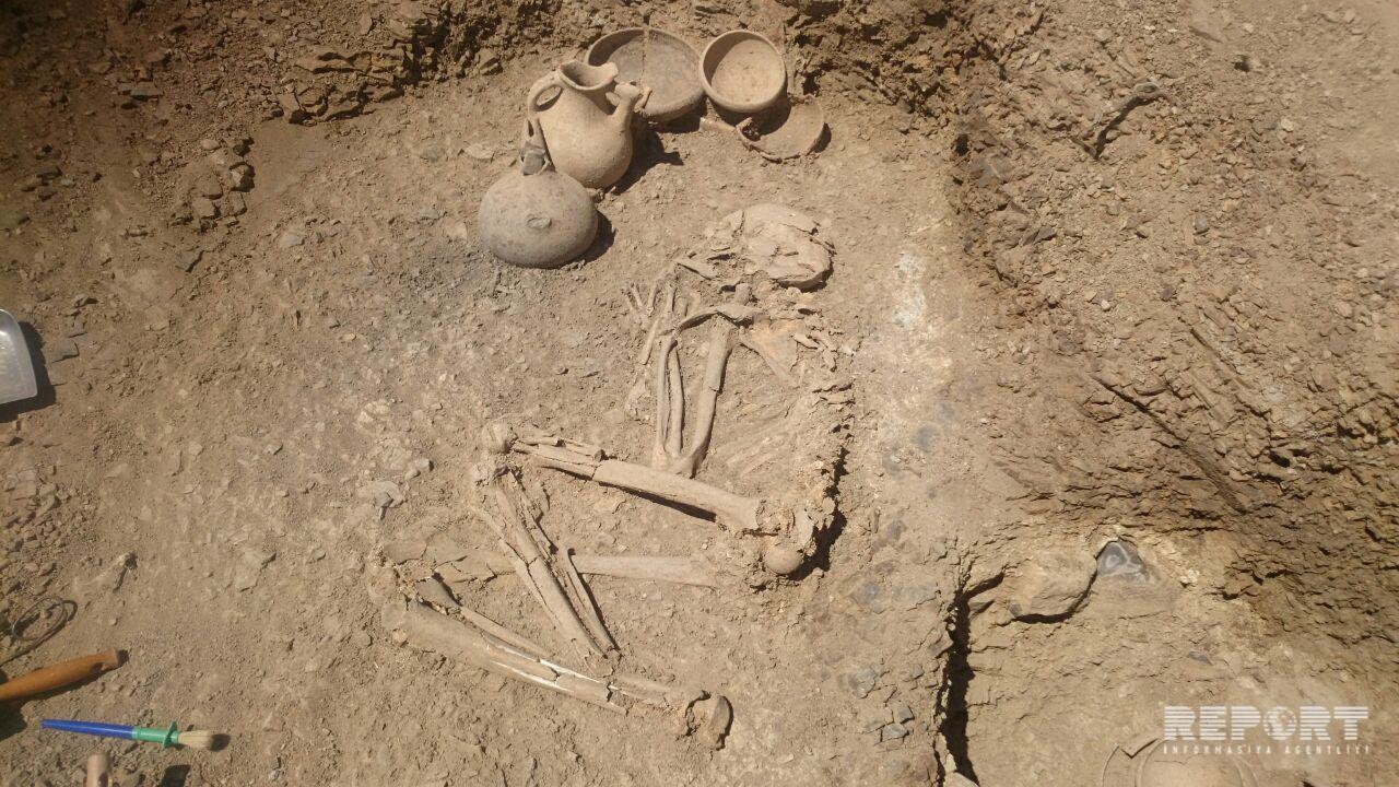 Уникальная находка в Лерике