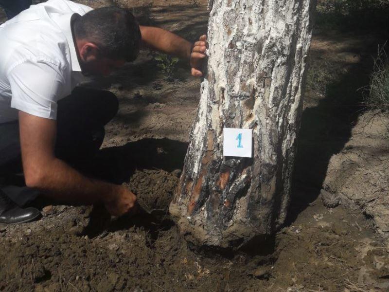 В Азербайджане завели уголовное дело на владельца одного из ресторанов