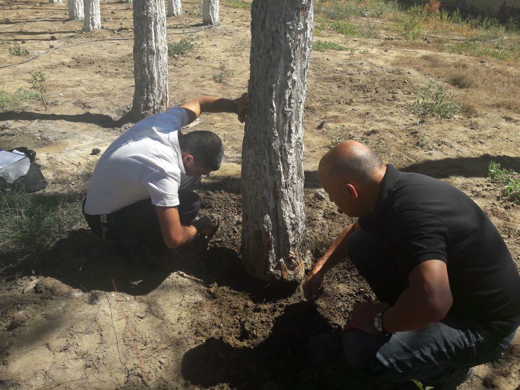 В Азербайджане завели уголовное дело на владельца одного из ресторанов