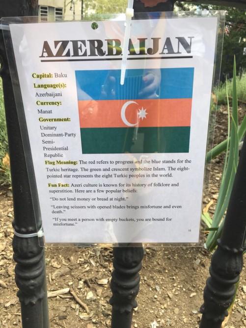 Азербайджанцы отпраздновали Международный День дружбы в Нью-Йорке