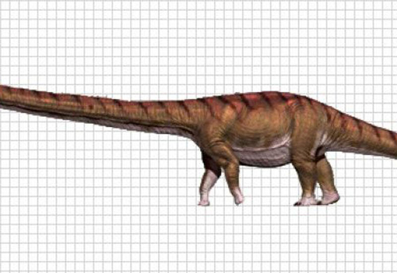 Стало известно, сколько весил самый крупный зверь на Земле