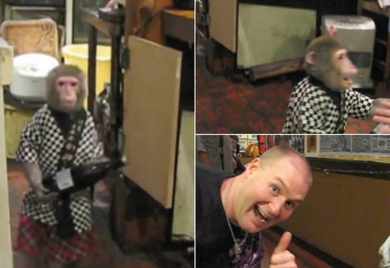 Японский ресторан, где официантами работают макаки