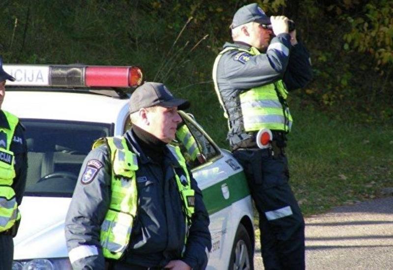 В Литве нашли медведя, сбежавшего из кафе