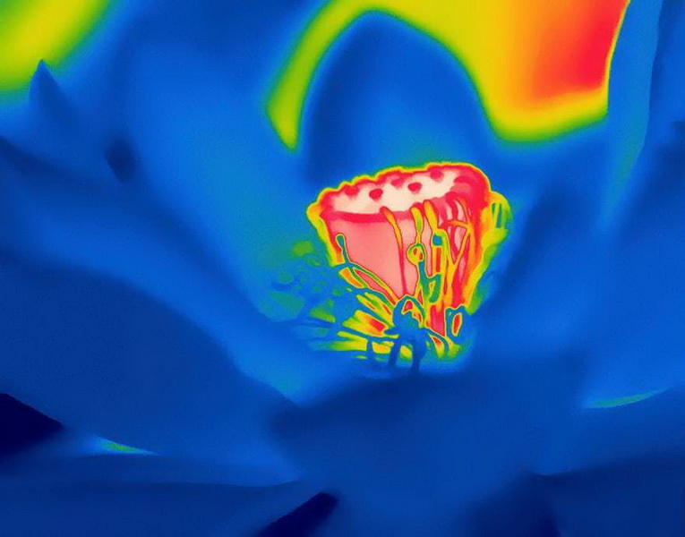 Нереальные снимки, участвующие в конкурсе International Images for Science