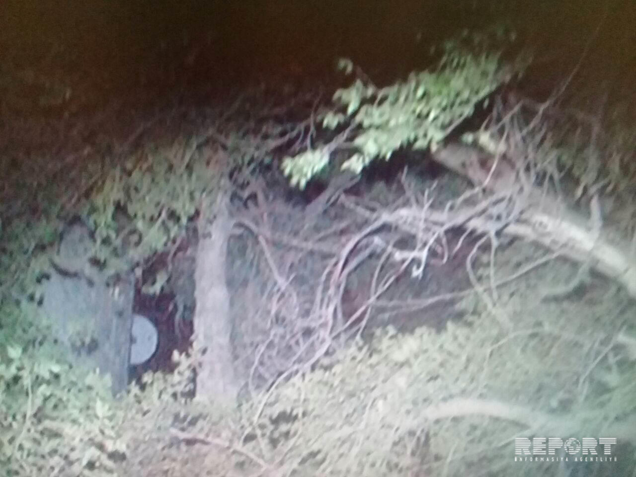 Bakıda güclü külək nəticəsində bir neçə ağac aşıb