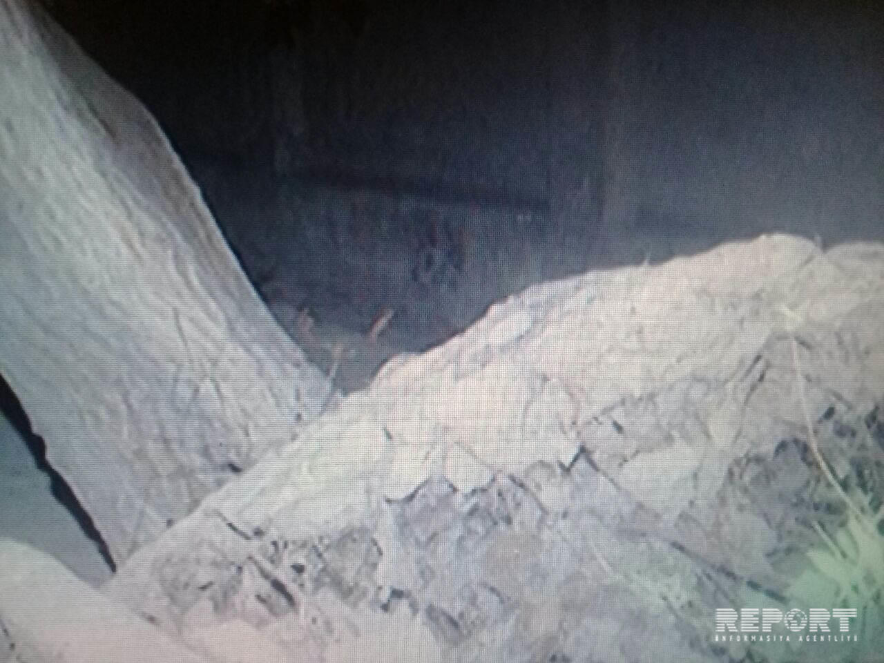 Bakıda güclü külək nəticəsində bir neçə ağac aşıb