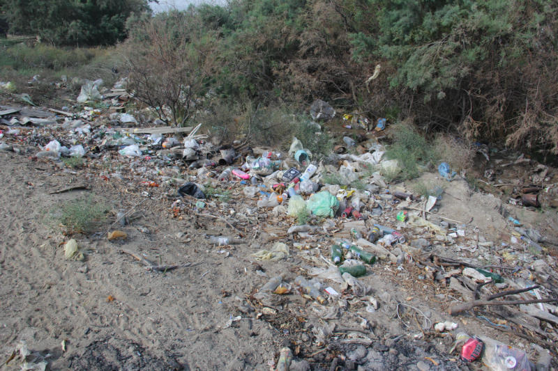 В Азербайджане прошла акция по очистке дельты реки Кура