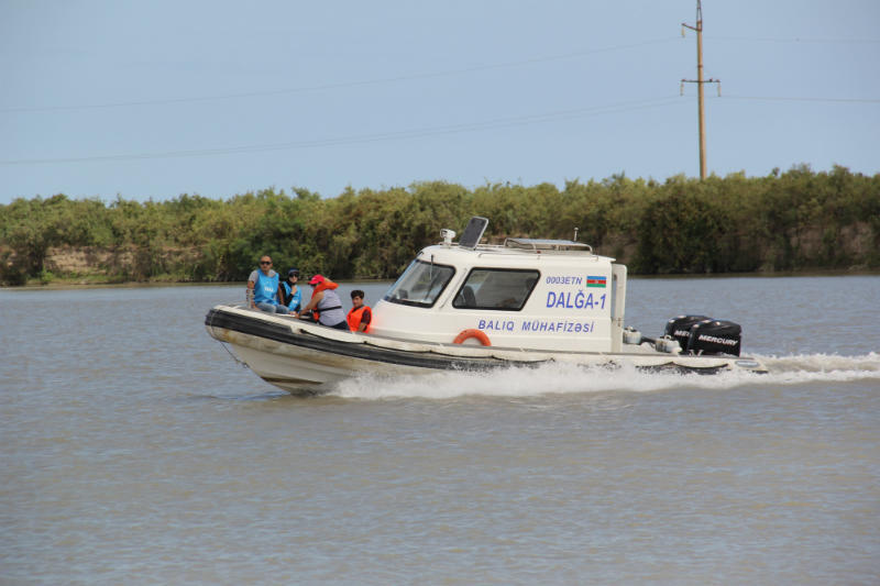 В Азербайджане прошла акция по очистке дельты реки Кура