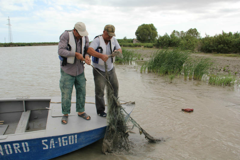 В Азербайджане прошла акция по очистке дельты реки Кура