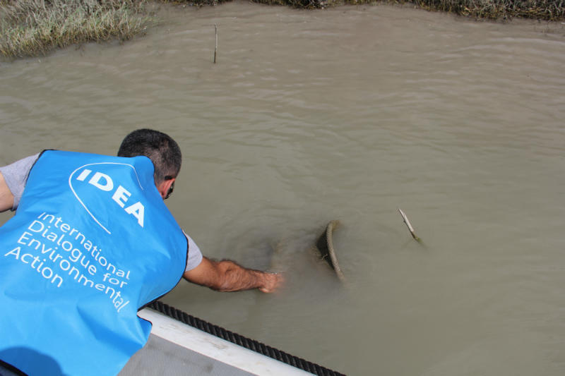 В Азербайджане прошла акция по очистке дельты реки Кура