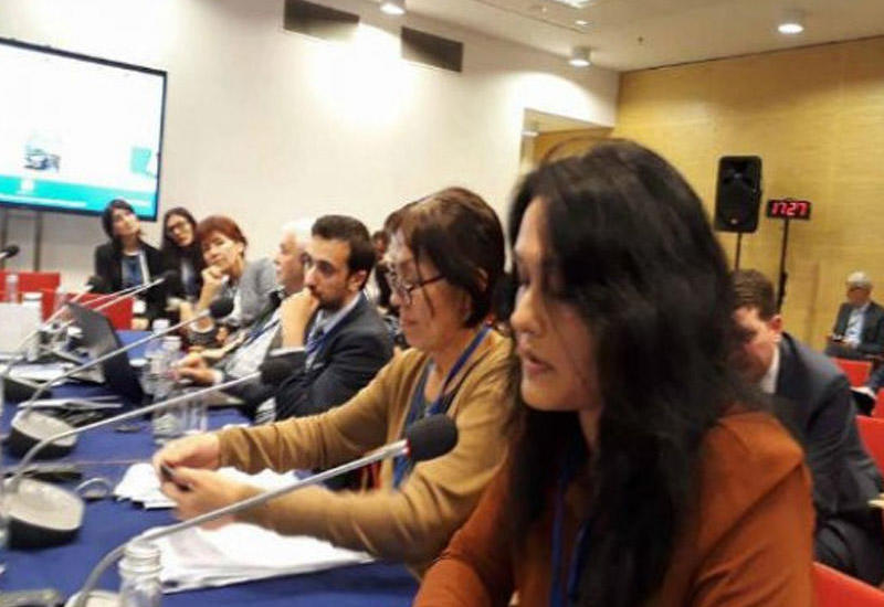 Günel Səfərova: "ATƏT qanunsuz seçkilərin və saxta müşahidəçiliyin qarşısını almalıdır"