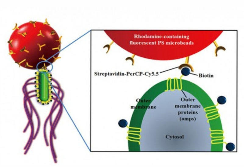 Nanorobotlar xərçəngi müalicə edəcəklər