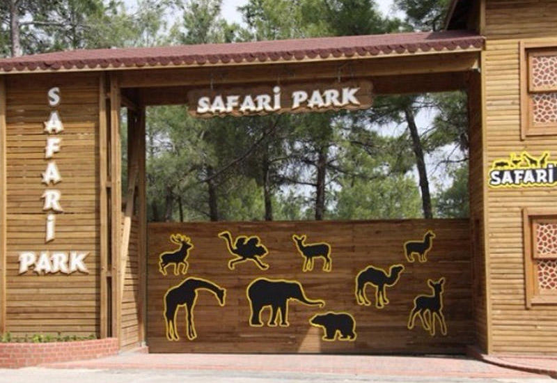 Şamaxı Safari Parkı ilə maraqlananların sayı artıb