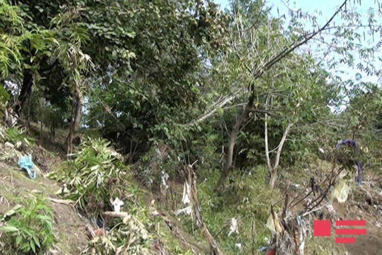 Sel Astarada üç körpünü dagıdıb