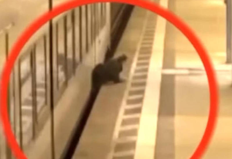 Metroda dəhşət anları kamerada