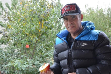 7 il bar verməyən ağacdan əcaib meyvə...