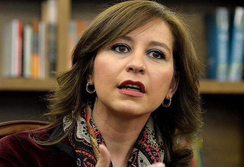 "Azərbaycan D-8 sammitinin güclənməsində vacib rol oynaya bilər"
