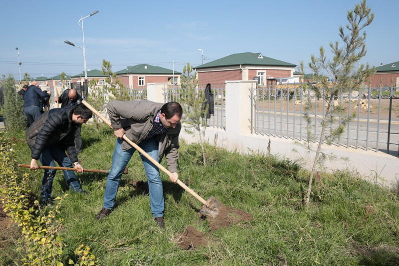 Cocuq Mərcanlının günəşli payızı